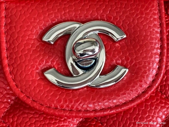Hyper Peter BAG CHANEL 23CM FLAP 0713